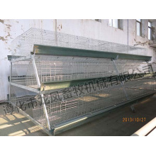 Full Automatic Pullet Cage